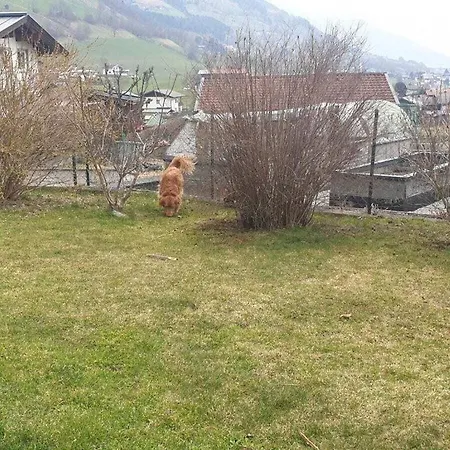 Holiday home Haus Walchen Comfortable Holiday Piesendorf